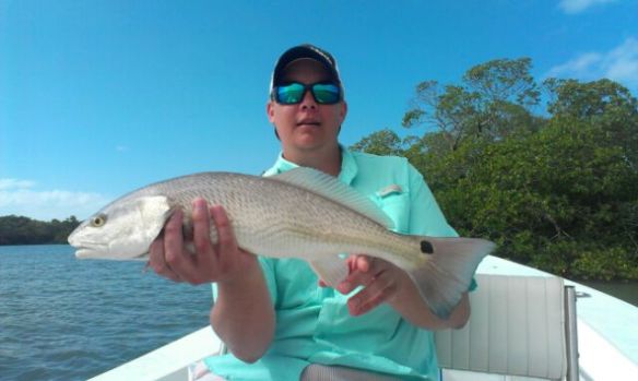 Matt with another healthy redfish caught and released with Capt. Ben Geroy last week!  