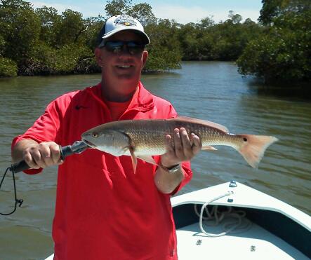 Tim Gill wih a nice back country redfish 3/14/13