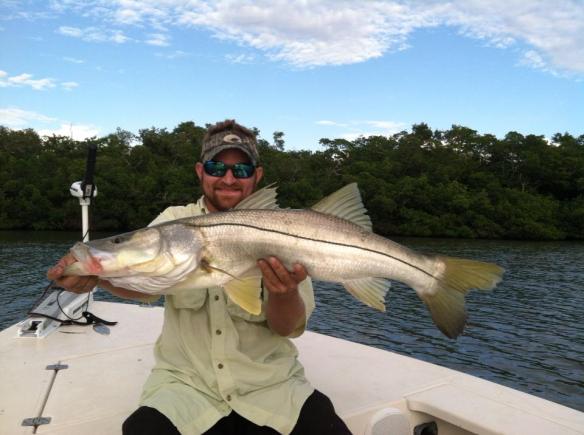 Dave Thoresh boated and released this large snook with Capt. Ben on 11/19/2013