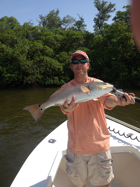 A nice redfish comes aboard to complete a SW Florida inshore slam!
