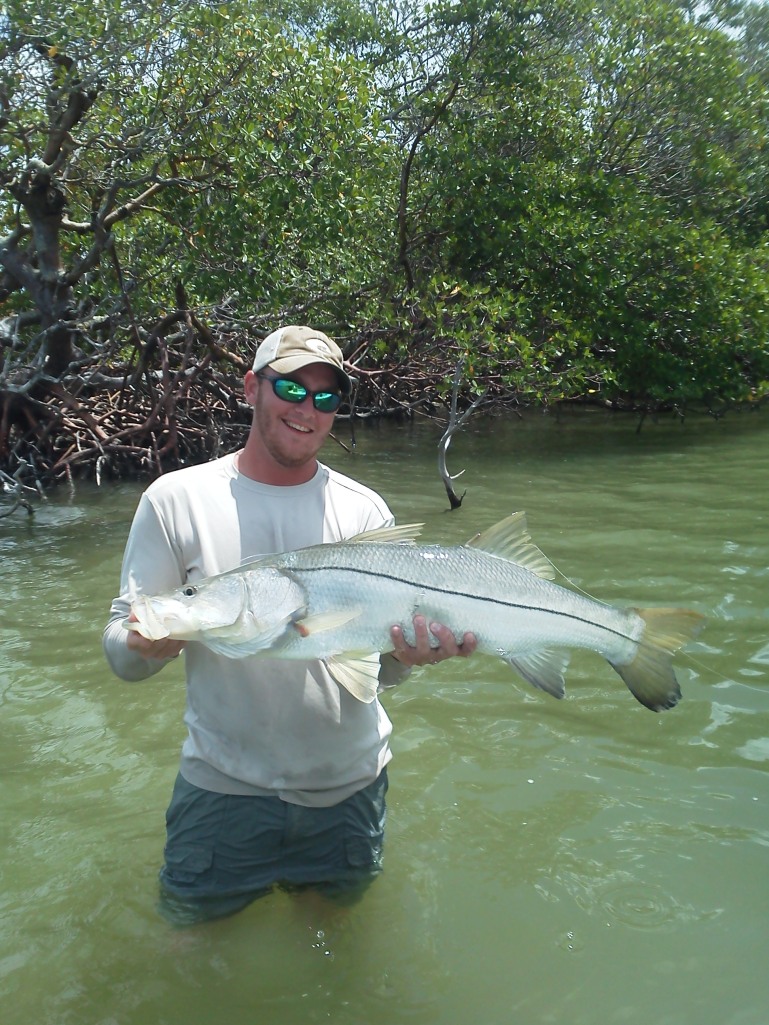 Capt. Ben Geroy with a 25 lb. snook released 6/12/2013