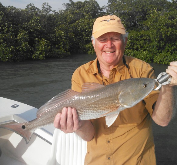 Cornie Morgan with a beautiful upper slot redfish caught on a blustery afternoon trip on 1/23/15.