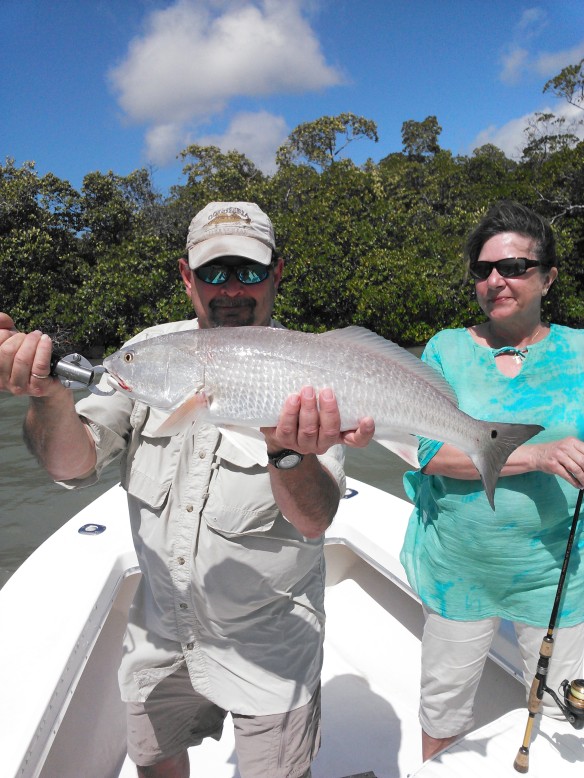 Steve and Linda had an all out slay fest with big redfish, snook and large jack crevalle on 3/5/2015