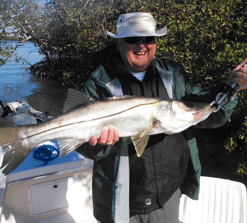 Larry Benner with a big, healthy April snook released last week.
