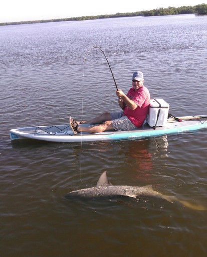Jim McGuire with a hefty bull shark he fought from paddle board with Capt. Todd Geroy.
